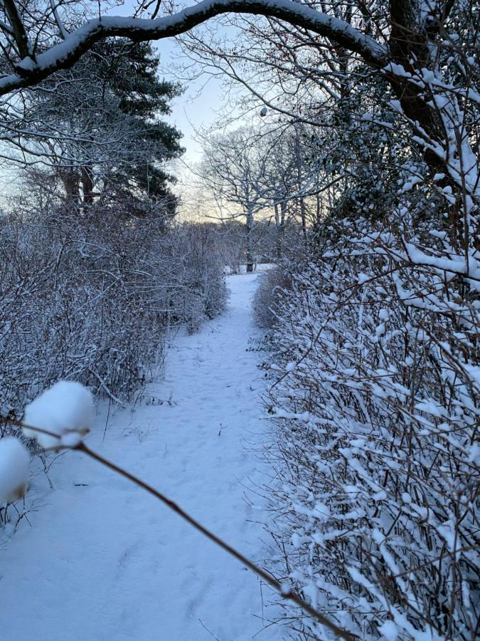 Ronhave Bed & Breakfast Sønderborg Eksteriør bilde