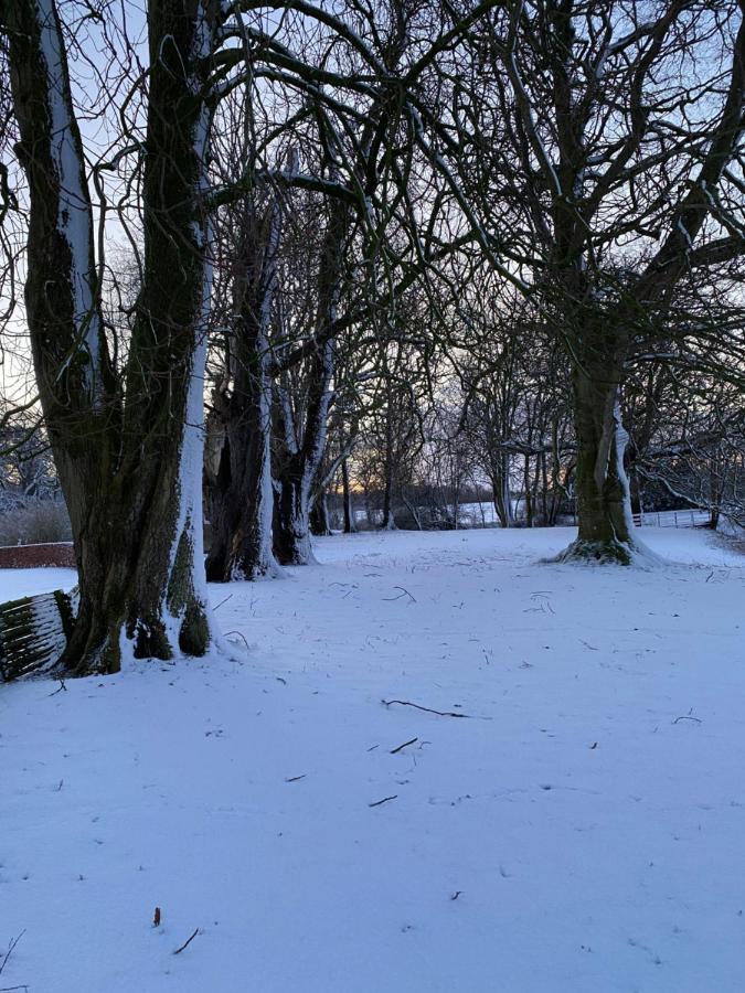 Ronhave Bed & Breakfast Sønderborg Eksteriør bilde